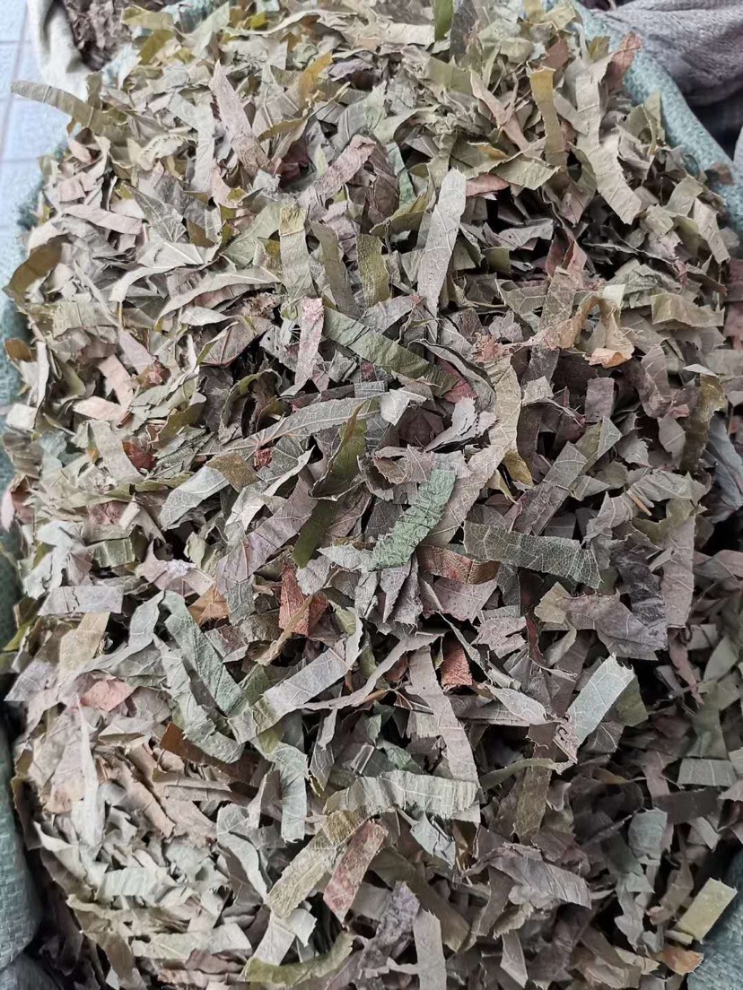 长期供应｛箭叶淫羊藿｝可批量可零售量大从优【包邮】