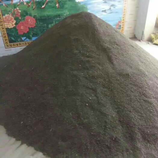 闻喜县 柴胡种子，北柴胡种子，独根柴胡种子