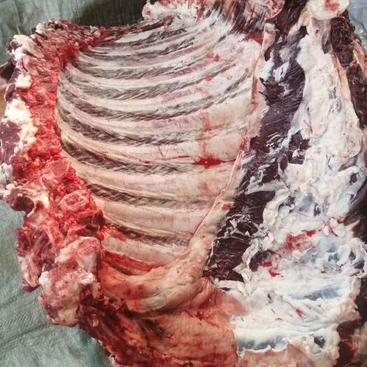 阳信县牛肋排 多肉牛排