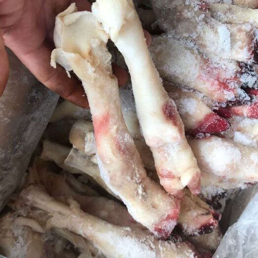 阳信县 碱腿山羊蹄