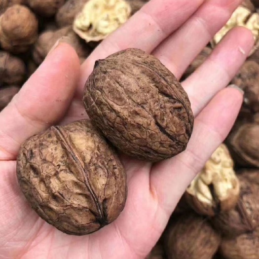 德昌县 新鲜核桃