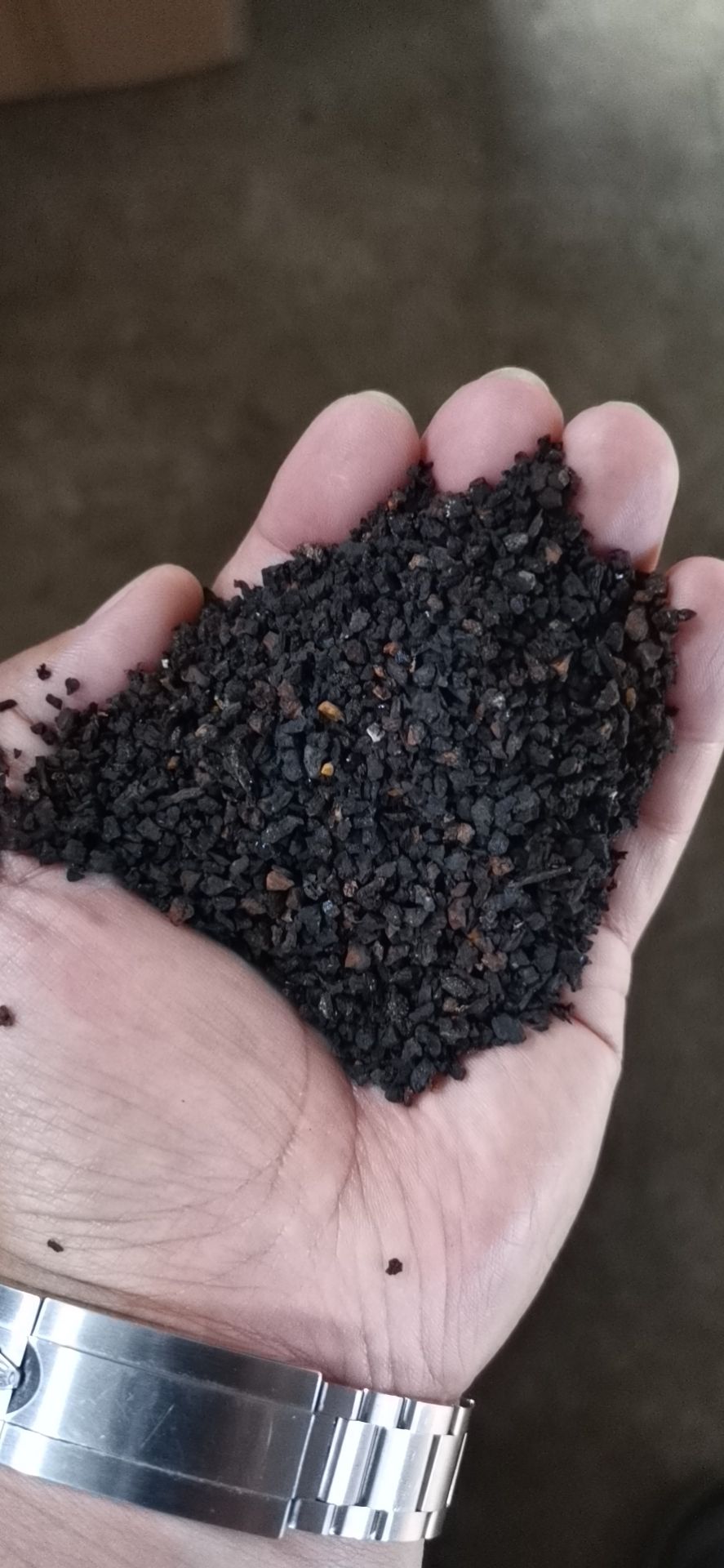 白桦茸  桦树茸黑金颗粒
