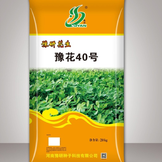 郑州豫花40 罗汉果型，308原种