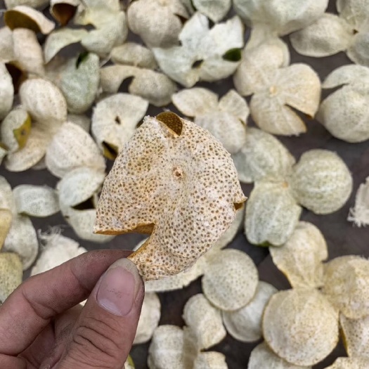 江门新干陈皮 新会大红皮
