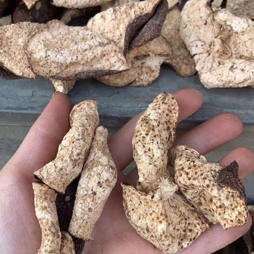 江门三花陈皮