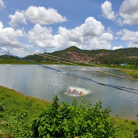 坑塘 此鱼塘傍边有河流，抽水方便。地势较高，洪涝灾害无影响。