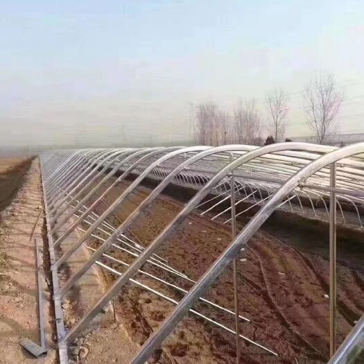 天津热镀锌蔬菜大棚 我厂生产椭圆管热镀锌管镀锌带管