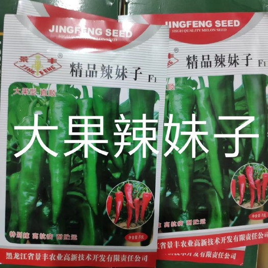 青州市辣妹子 10～14片真叶