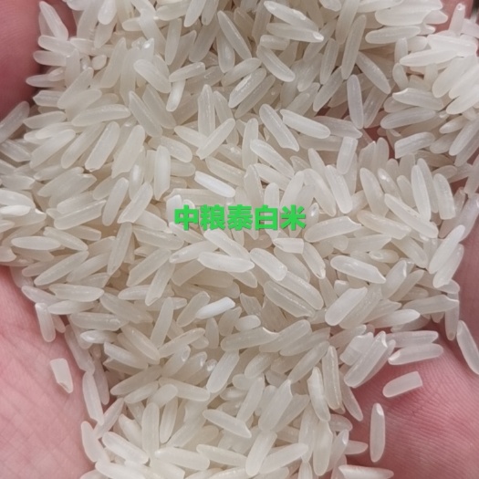 深圳籼米 正规泰国白米 老泰白出库