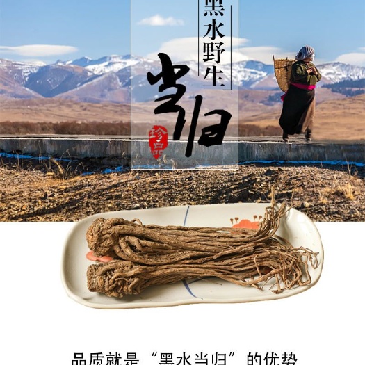 黑水县 藏族当归