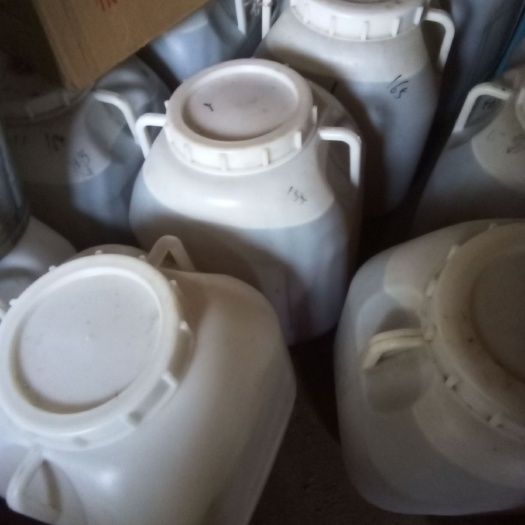 抚顺县椴树蜜  批发荆条蜜