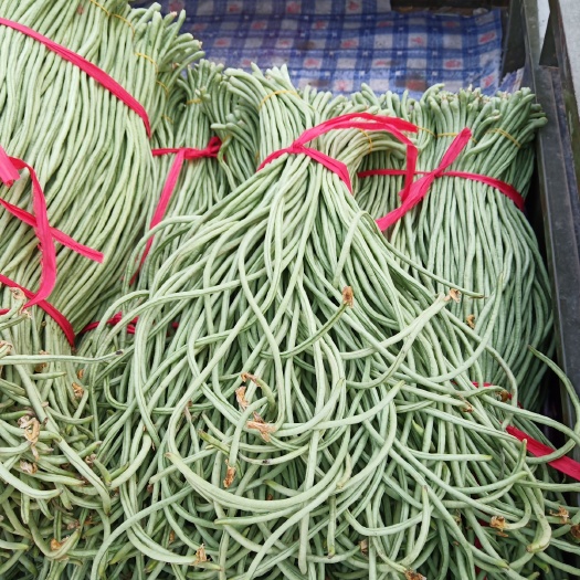 内黄县 长豆角品质优，口感好，价格不贵