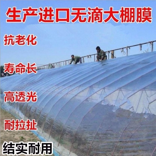 天津大棚配件  大棚专用膜PO薄膜长寿无滴膜塑料布农用养殖温室黑白抗老化