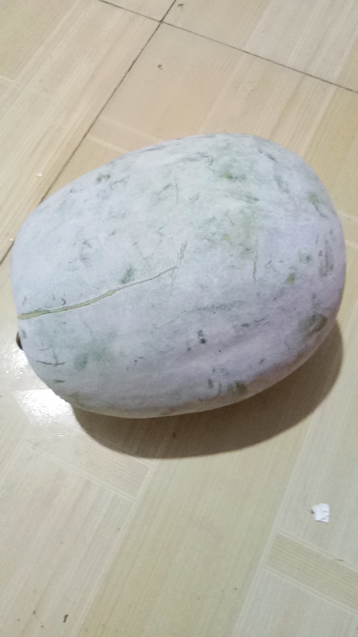 白皮冬瓜 混装通货 地冬瓜