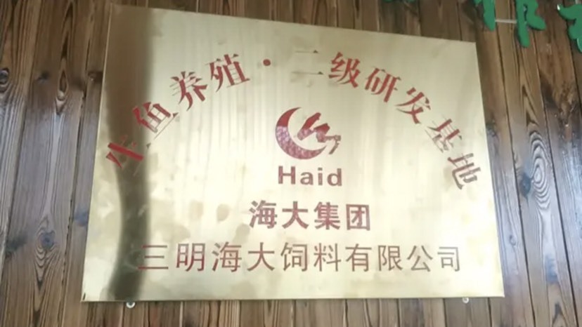 武冈市饲料鱼 海大饲料