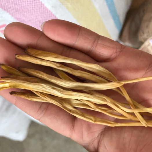 灵宝市西闫黄花菜 原产地农家菜，自产自销，天然