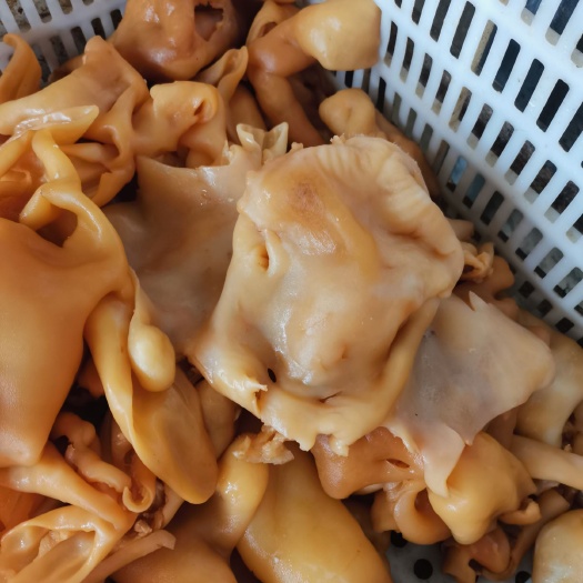 阳信县 羊脸皮