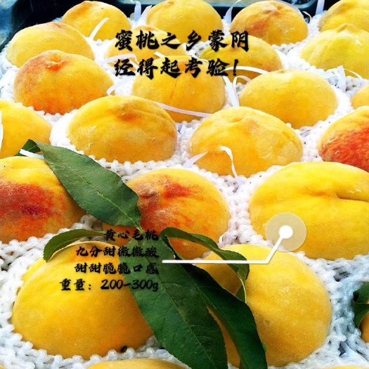 蒙阴县 锦香黄桃 蜜桃一件代发