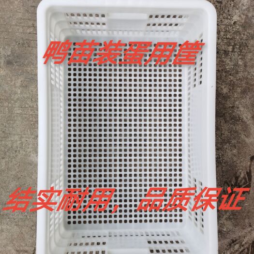 南宁塑料筐  鸡鸭苗周转筐  全新材料打造  结实耐用  品质保证