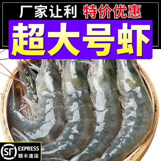 日照中国对虾  【顺丰速运】青岛超大虾整箱生鲜海鲜批发基围虾新鲜