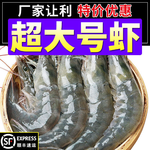 中国对虾  【顺丰速运】青岛超大虾整箱生鲜海鲜批发基围虾新鲜