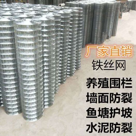 护栏网  镀锌铁丝网圈玉米网养殖网铁丝网围栏电焊网
