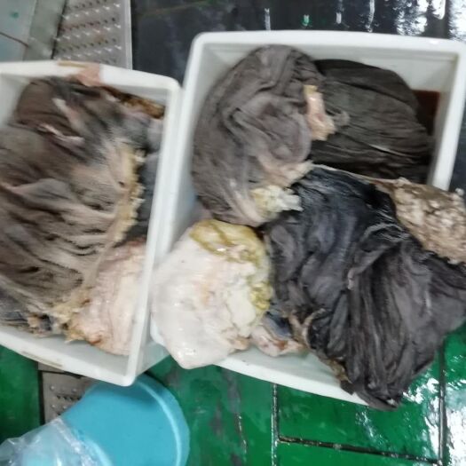 成都 鲜毛肚。牛副产品