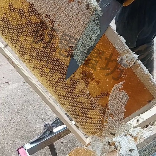 南昌中蜂土蜂蜜天然蜂蜜