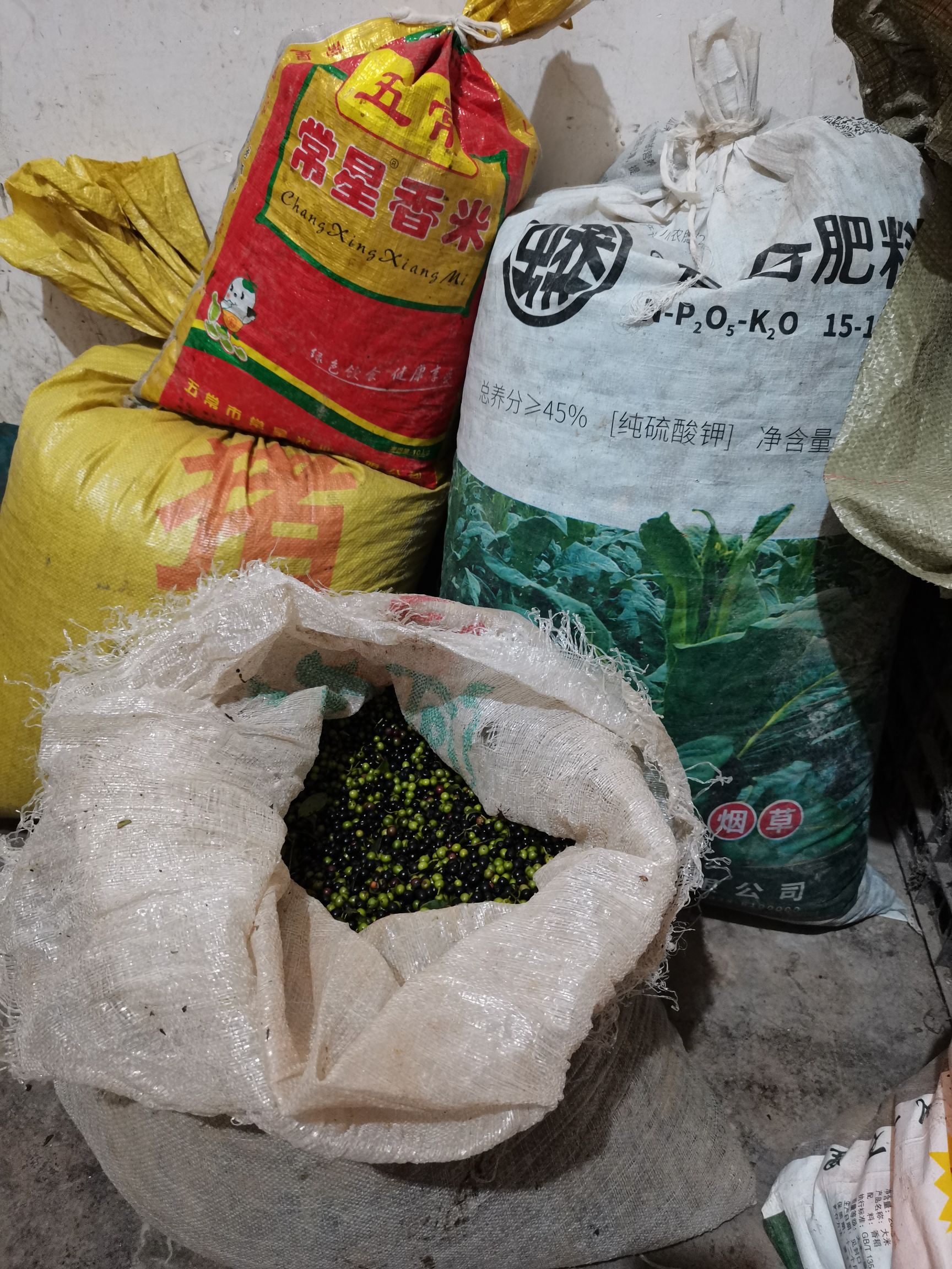 贵州中药材木姜子 山胡椒 山苍子