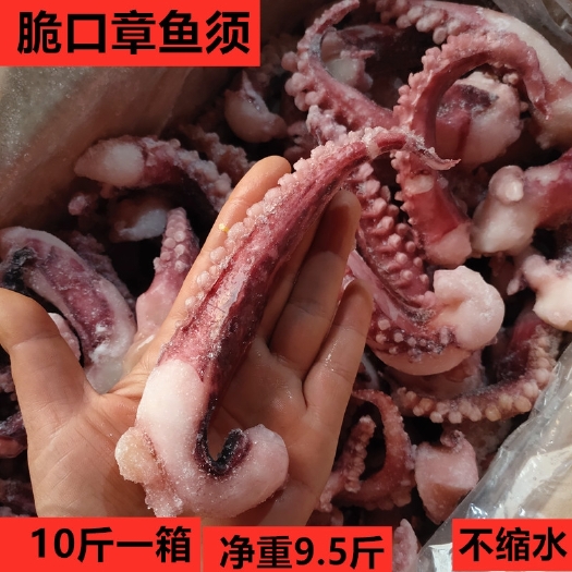 南京 脆口章鱼须10斤新鲜冷冻商用铁板八爪足章鱼足非大鱿鱼须海鲜包