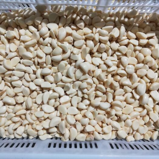 金乡县 出口级精品蒜米