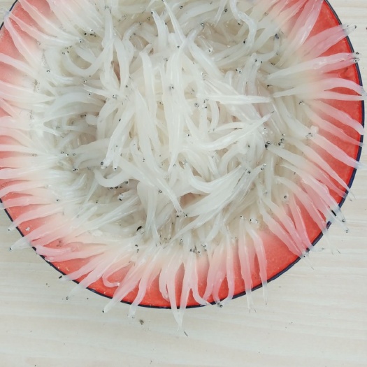 青川县银鱼干 6-12个月