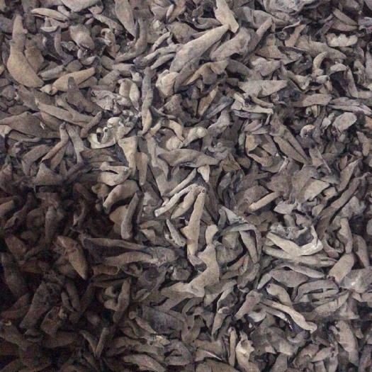 合肥东北黑木耳 干木耳 二级
