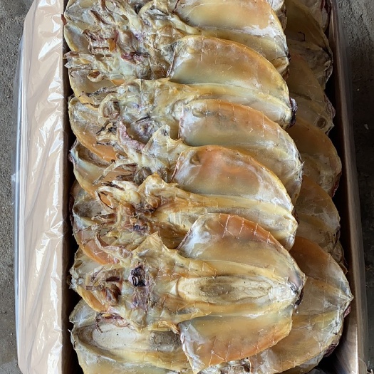北海墨鱼干批发自家工厂墨鱼干批发厂家墨鱼干加工淡晒墨鱼干