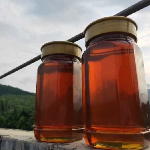 琼中县 海南琼中百花土蜂蜜深山无污染优质蜜源一件代发