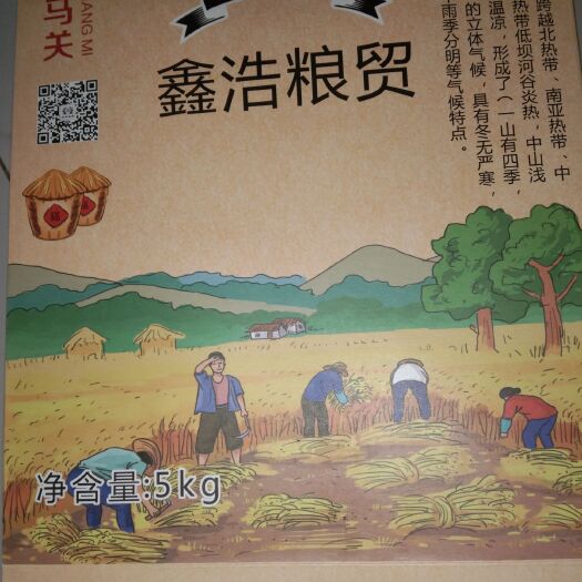 马关县 云南光坎贡米