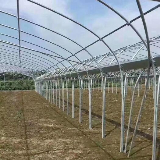 天津椭圆管骨架