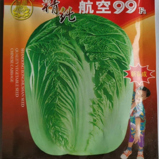 沭阳县 白菜种子