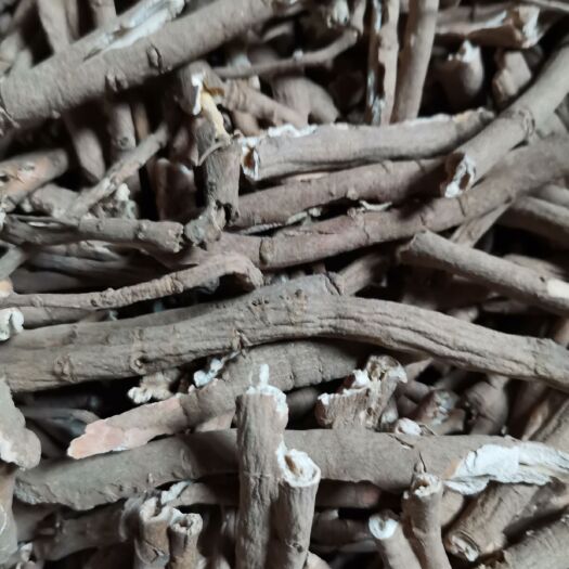 菏泽凤丹 自种丹皮