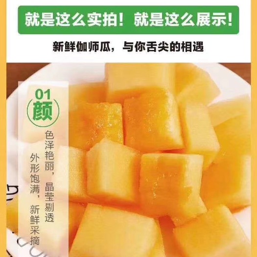 伽师县伽师瓜 3斤以上