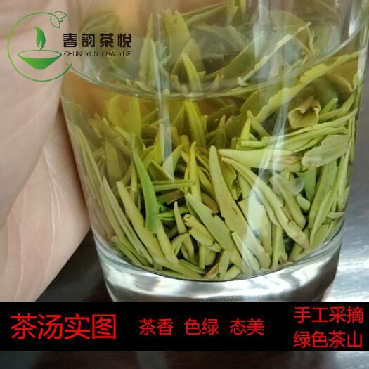 固始县 特级信阳毛尖