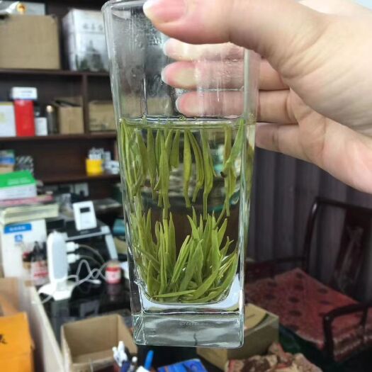 固始县 白毫银针145元/斤！宁德特产高山款，花香型，汤色纯净，特