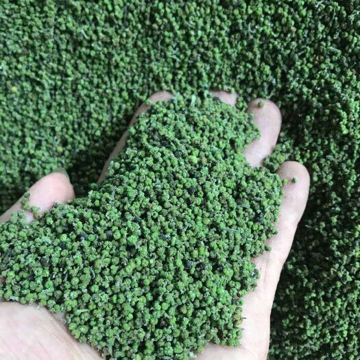 罗城县广西省河池市罗城县《江西品种中花吴茱萸》上市