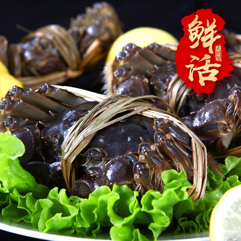  洪泽湖精品大闸蟹 优质蟹苗 原产地直发 长年供应全国各大城市