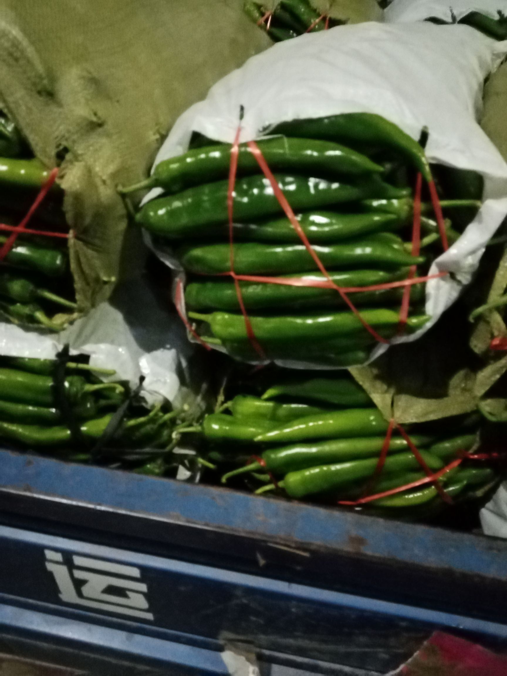 精品辣椒，绿霸16号，羊角椒，产地直供