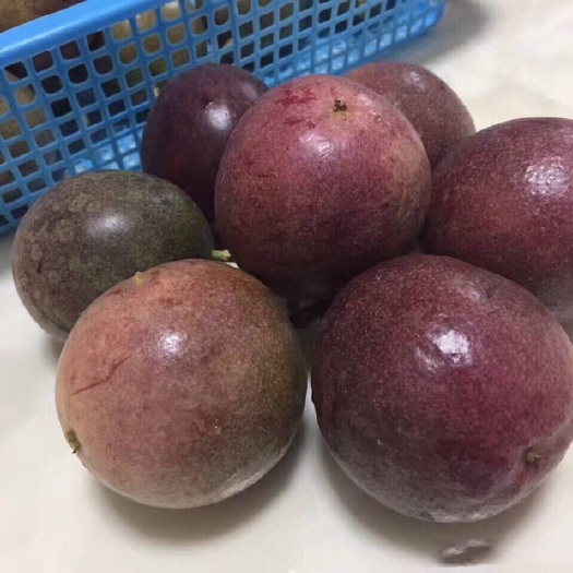 贵港紫香一号百香果 50 - 60克