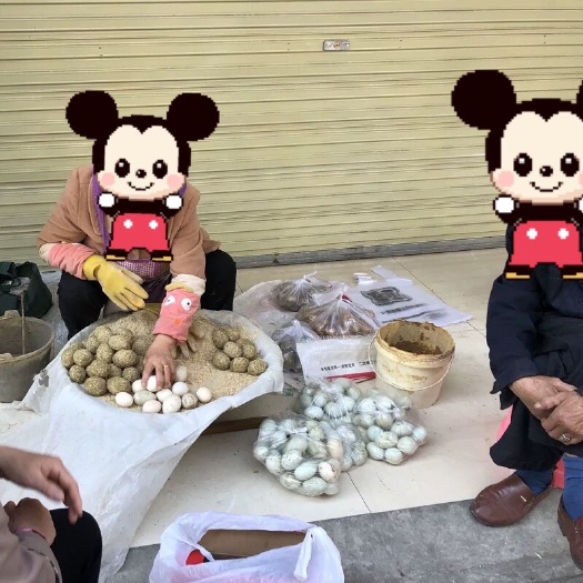 梓潼县 四川正中皮蛋