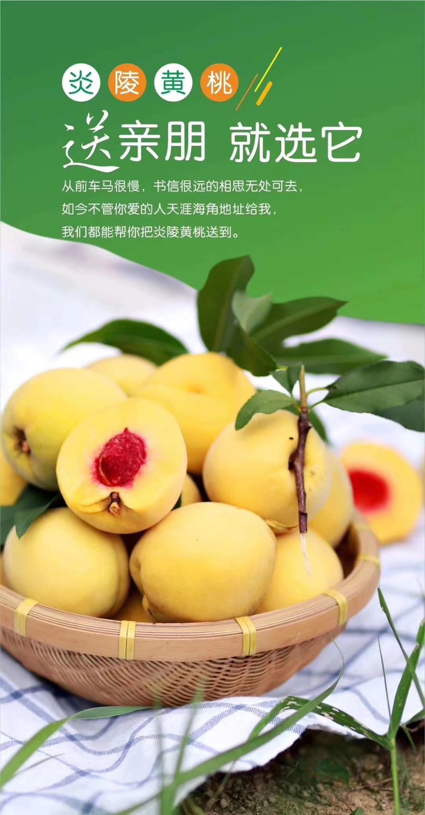 炎陵黄桃 45mm以上 3 - 4两