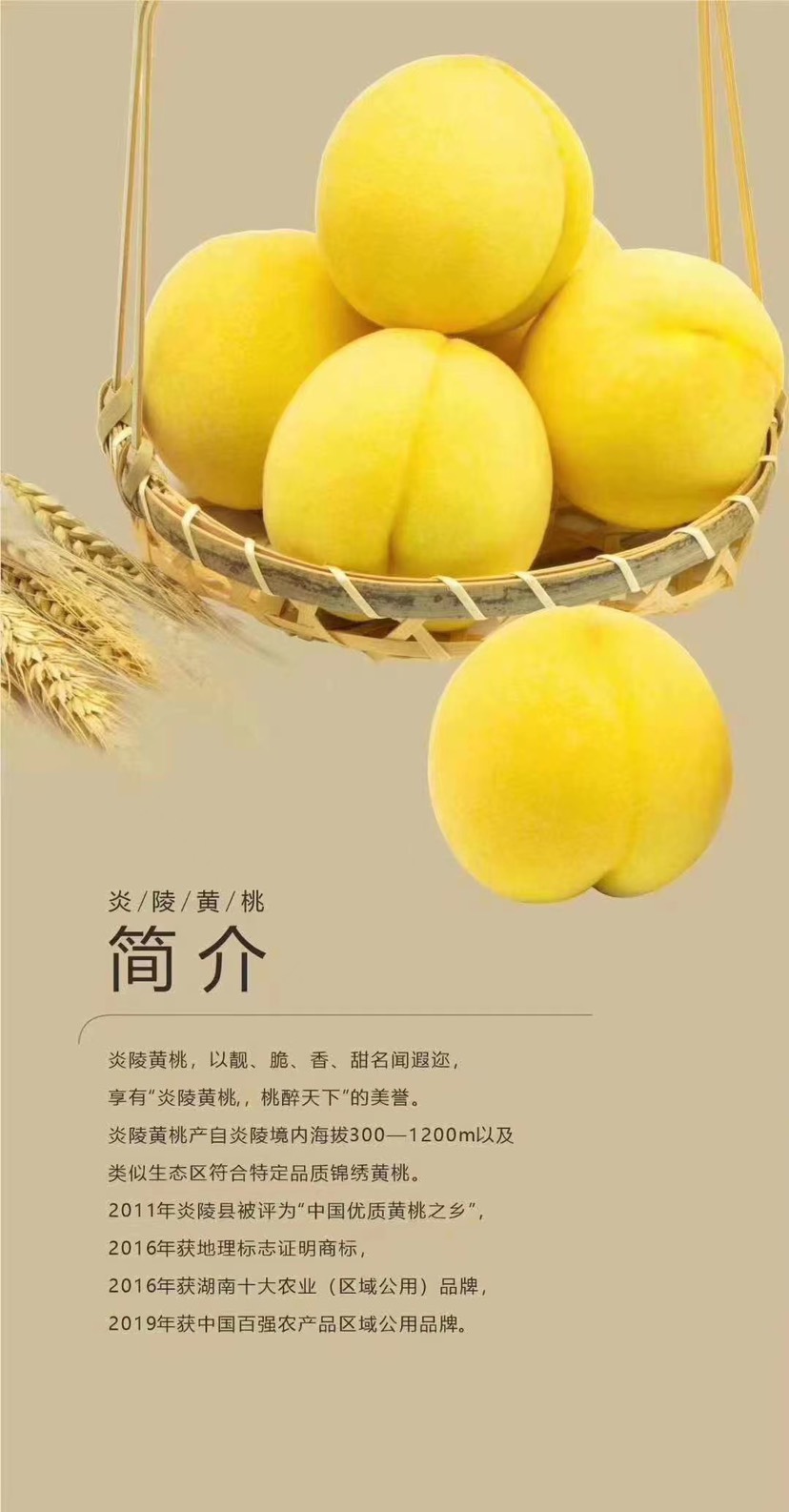 炎陵黄桃 45mm以上 3 - 4两