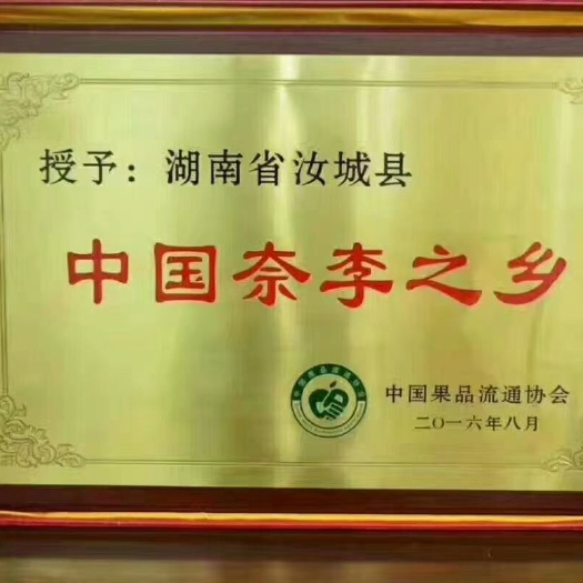 汝城县黄金奈李 农家果园，自产自销，没有仓库，现摘现卖。